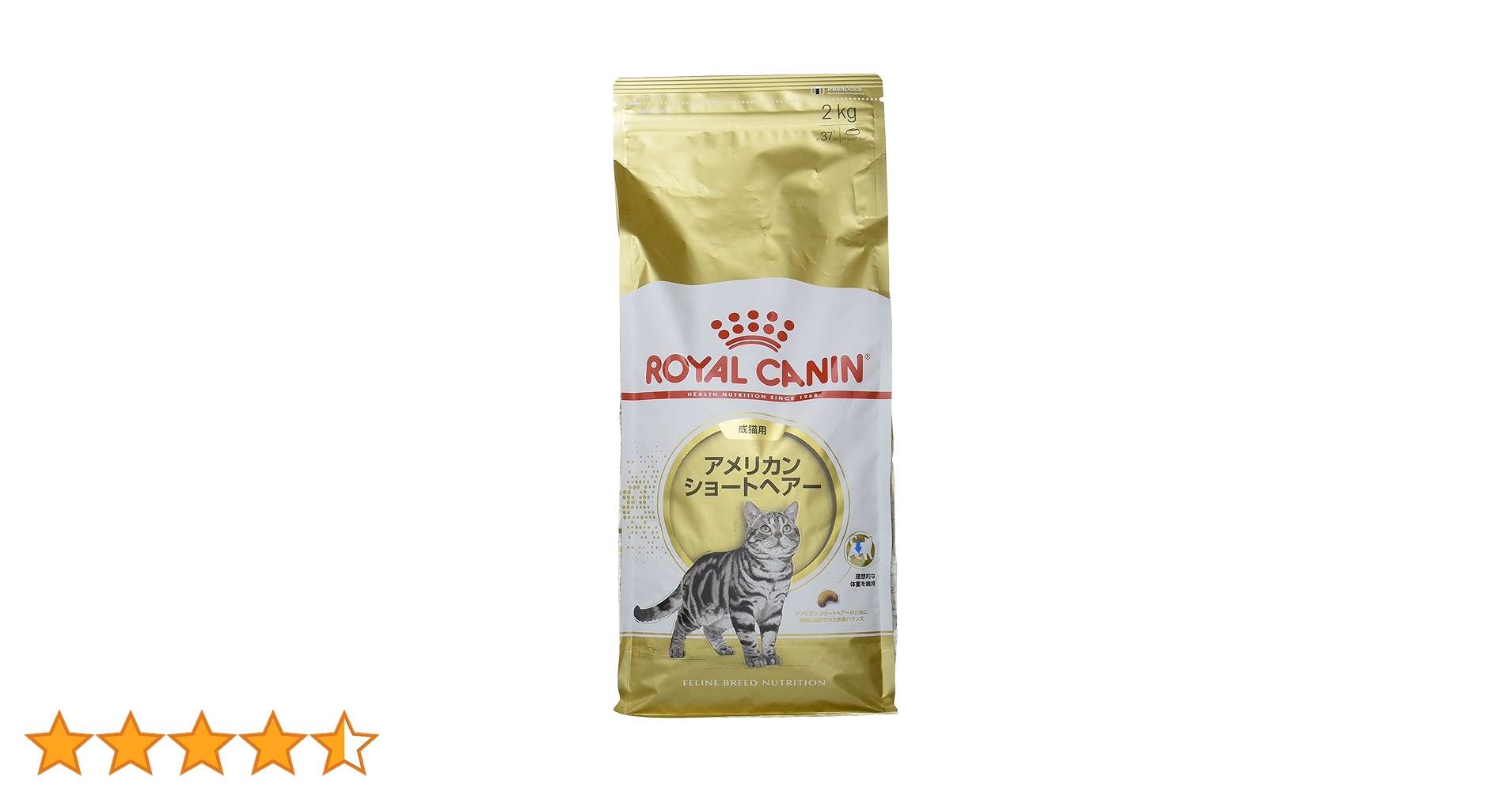 ロイヤルカナン アメリカンショートヘア用 2Kg×2袋 Amazon | ロイヤルカナン アメリカンショートヘアー 猫用 2kg